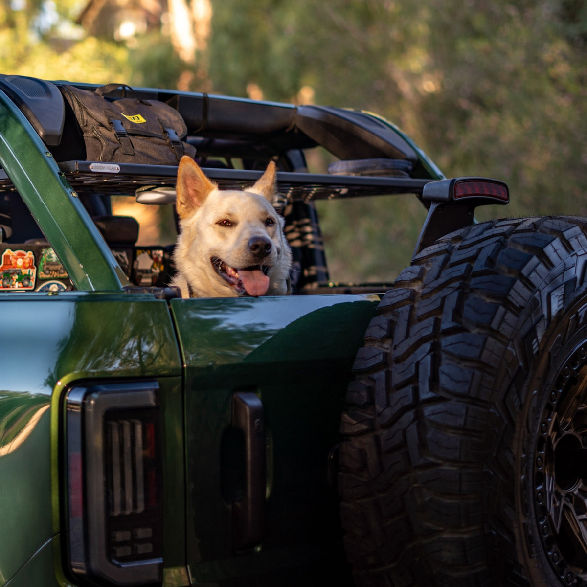 Étagère de toit intérieure - Ford Bronco 6G 4 portes-11-Bison Gear