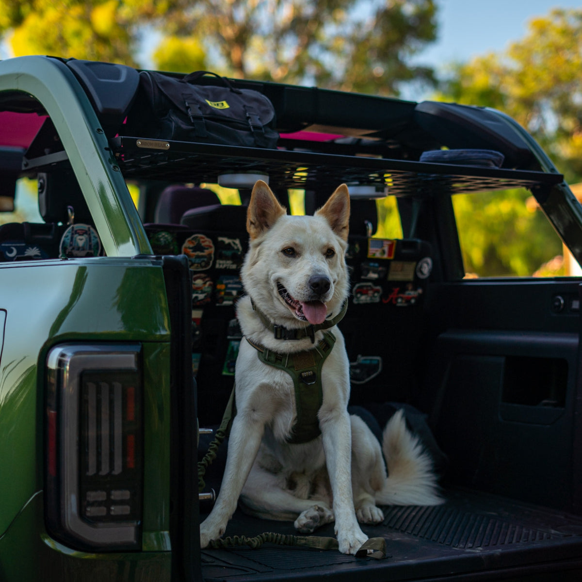 Étagère de toit intérieure - Ford Bronco 6G 4 portes-10-Bison Gear