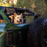 Étagère de toit intérieure - Ford Bronco 6G 4 portes-11-Bison Gear
